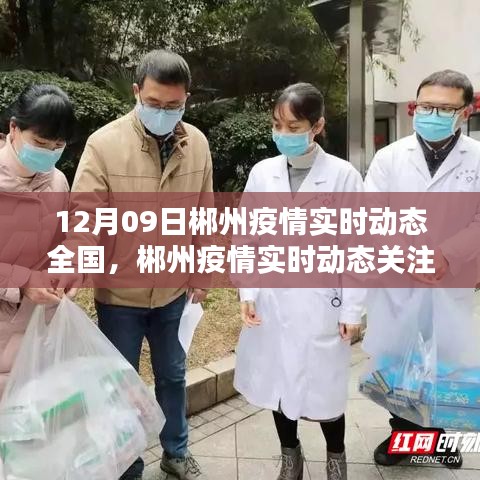 12月09日郴州疫情實(shí)時(shí)動(dòng)態(tài)關(guān)注指南，全國疫情動(dòng)態(tài)及初學(xué)者快速掌握方法