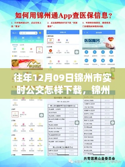 錦州市實時公交查詢APP下載指南，以往年12月09日為例的教程分享