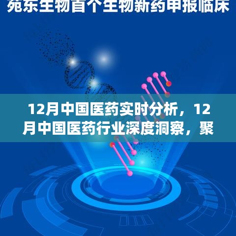 聚焦實時分析，探尋中國醫(yī)藥行業(yè)深度洞察與發(fā)展之路