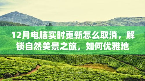 12月電腦更新取消指南與解鎖自然美景之旅，優(yōu)雅避開更新，尋找心靈寧靜綠洲