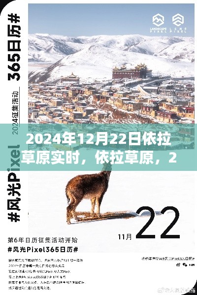 依拉草原時(shí)光印記，2024年12月22日實(shí)時(shí)記錄