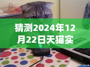 探索未來天貓之旅，揭秘天貓實(shí)時大廳猜想與內(nèi)心平靜的秘境