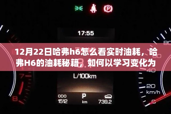 哈弗H6實(shí)時(shí)油耗秘籍，學(xué)習(xí)變化為燃料，駛向自信彼岸的指南