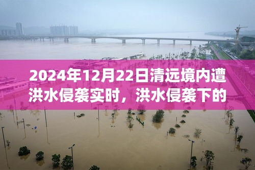 洪水侵襲下的清遠(yuǎn)秘境，美食奇遇與實(shí)時(shí)報(bào)道