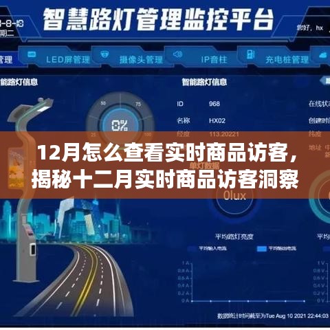 揭秘十二月實(shí)時(shí)商品訪客洞察，洞悉訪客動(dòng)態(tài)與商業(yè)進(jìn)展的秘訣
