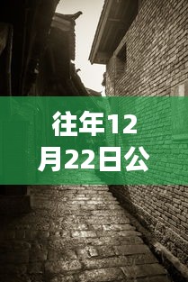 探秘寶藏店，公路云實時監(jiān)控軟件下載新體驗，12月22日實時下載探秘小巷深處之旅
