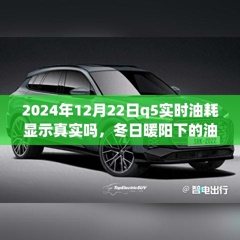 冬日暖陽下的真相探尋，2024年Q5實時油耗顯示的可信度與友情之旅