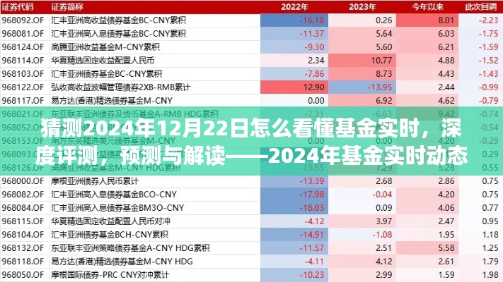 揭秘2024年基金實時動態(tài)洞察系統(tǒng)，深度評測、預測與解讀的未來趨勢