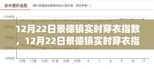 景德鎮(zhèn)實時穿衣指數(shù)，寒冷天氣下的時尚與舒適度共存指南