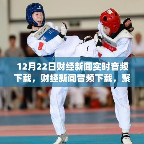 12月22日財經(jīng)新聞實時音頻下載，深度探討與觀點爭議