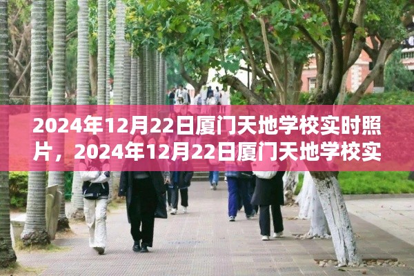 一窺廈門天地學(xué)校實時美景，2024年12月22日校園風(fēng)光紀實