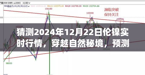 倫鎳行情預(yù)測與心靈之旅，穿越自然秘境，探索2024年倫鎳實時行情的奇妙交織