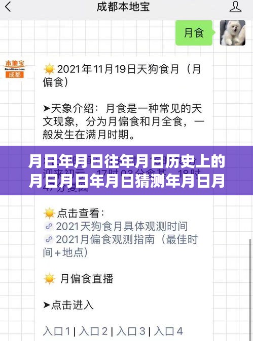 深海夢境與現(xiàn)實時間線的探索，產品全面評測與介紹