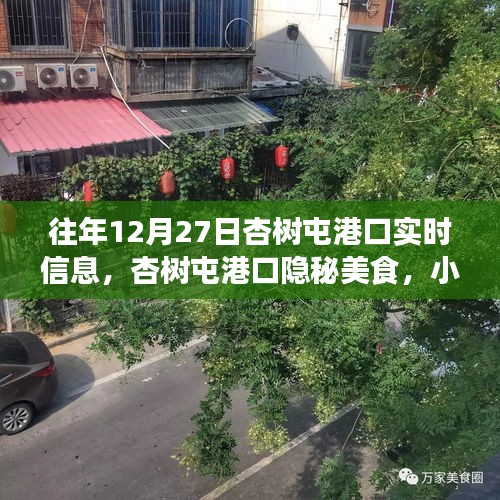 杏樹(shù)屯港口，美食秘境與實(shí)時(shí)信息的探索之旅