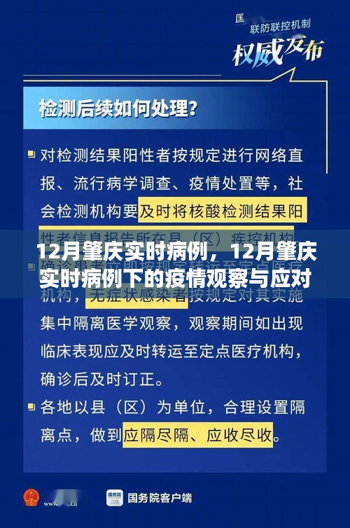 關(guān)于肇慶市實時病例的觀察與應(yīng)對策略之我見，疫情下的深度探討