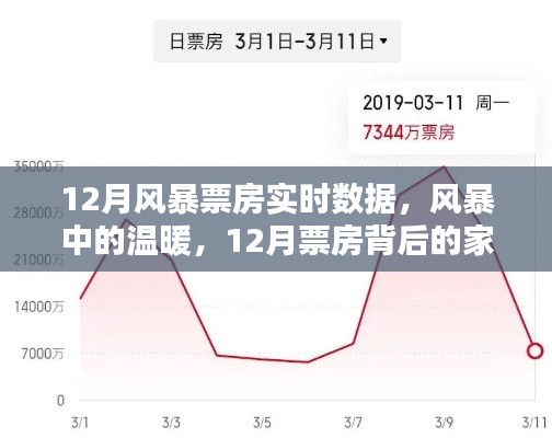 12月風(fēng)暴票房背后的家庭觀影時光，實(shí)時數(shù)據(jù)與溫暖瞬間