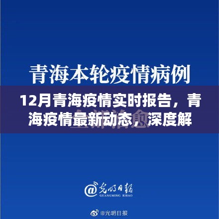 青海疫情深度解析，十二月實時報告與最新動態(tài)