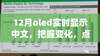 12月OLED中文實時顯示，把握變化，點亮未來——展現(xiàn)你的中文魅力
