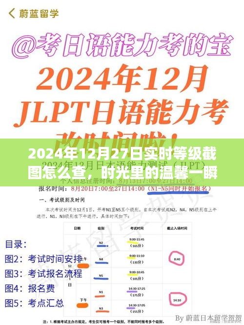 2024年12月27日等級(jí)截圖揭秘，時(shí)光溫馨一瞬，友誼見(jiàn)證時(shí)刻
