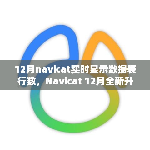 Navicat 12月升級亮點(diǎn)，實(shí)時數(shù)據(jù)表行數(shù)顯示，科技助力數(shù)據(jù)管理便捷性