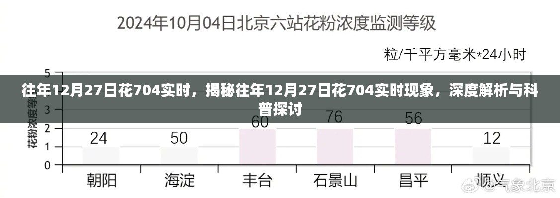 揭秘與深度解析，往年12月27日花704實(shí)時(shí)現(xiàn)象探討