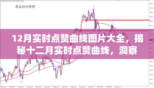 揭秘十二月實時點贊曲線，洞悉數(shù)字時代互動趨勢的圖片大全