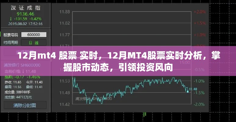 12月MT4股票實時分析，掌握股市動態(tài)，引領(lǐng)投資風向標