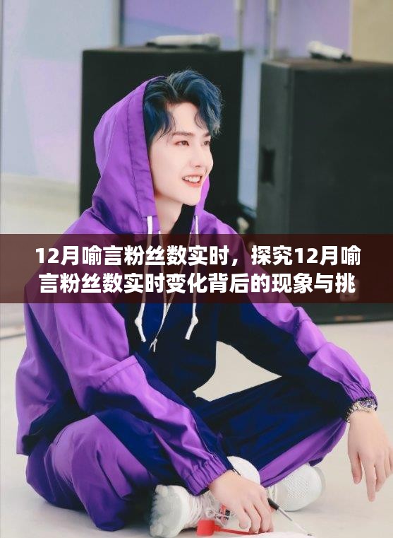 探究喻言粉絲數(shù)實(shí)時變化背后的現(xiàn)象與挑戰(zhàn)，12月粉絲增長分析