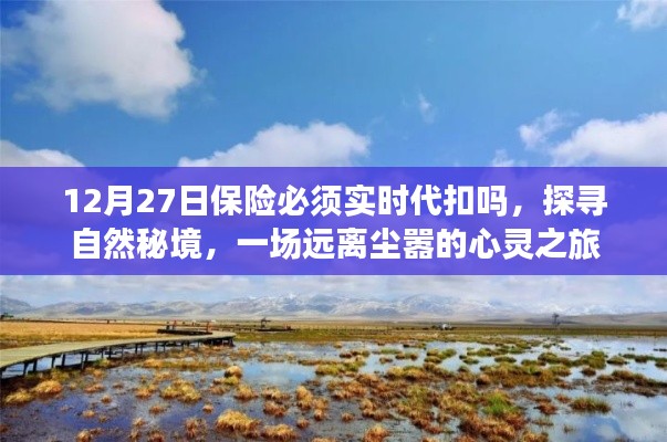 保險(xiǎn)代扣與心靈之旅，探尋自然秘境的遠(yuǎn)離塵囂之旅