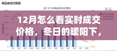 冬陽(yáng)下的實(shí)時(shí)成交價(jià)格探索之旅，與友共賞奇妙之旅