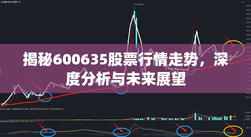 揭秘600635股票行情走勢(shì)，深度分析與未來(lái)展望