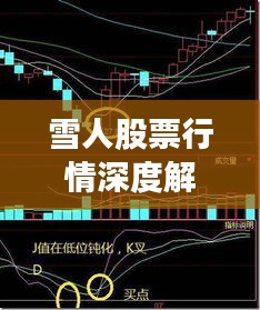 雪人股票行情深度解析，最新價(jià)格走勢(shì)與投資建議