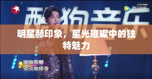 明星赫印象，星光璀璨中的獨(dú)特魅力