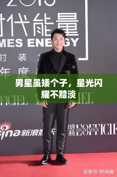男星雖矮個(gè)子，星光閃耀不黯淡