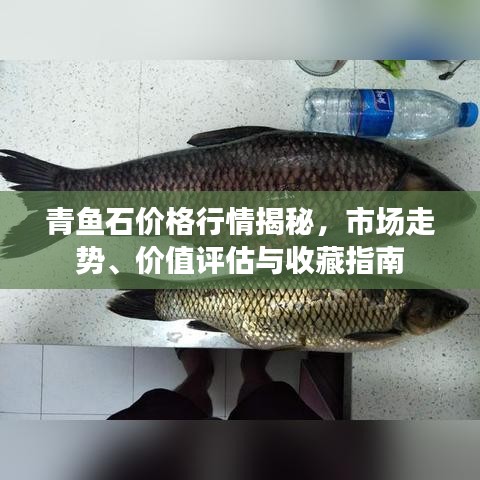 青魚(yú)石價(jià)格行情揭秘，市場(chǎng)走勢(shì)、價(jià)值評(píng)估與收藏指南