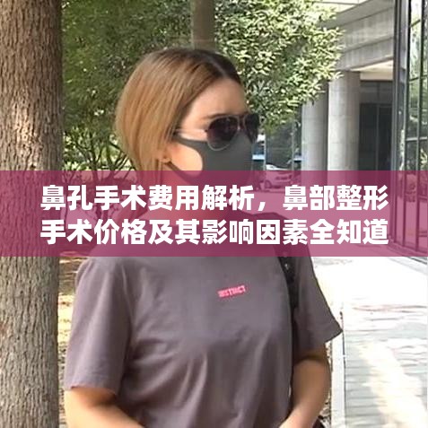 鼻孔手術(shù)費用解析，鼻部整形手術(shù)價格及其影響因素全知道