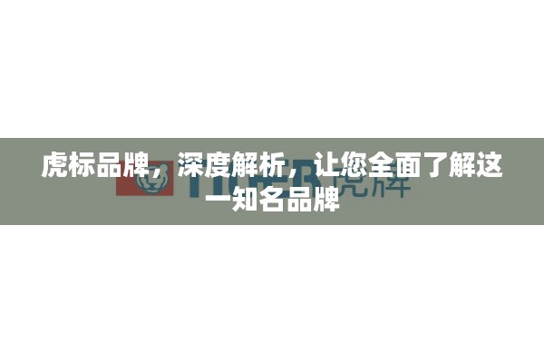 虎標(biāo)品牌，深度解析，讓您全面了解這一知名品牌