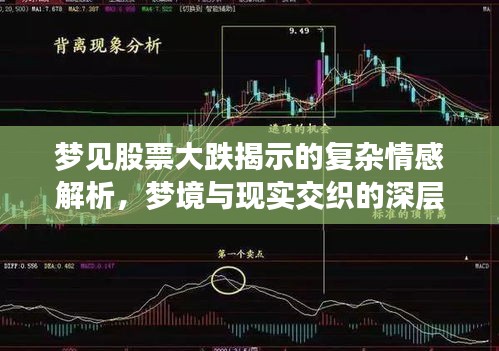 夢(mèng)見(jiàn)股票大跌揭示的復(fù)雜情感解析，夢(mèng)境與現(xiàn)實(shí)交織的深層解讀