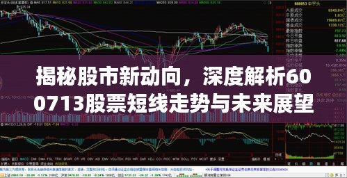 揭秘股市新動向，深度解析600713股票短線走勢與未來展望