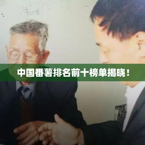 中國(guó)番薯排名前十榜單揭曉！