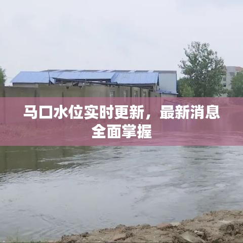 馬口水位實時更新，最新消息全面掌握