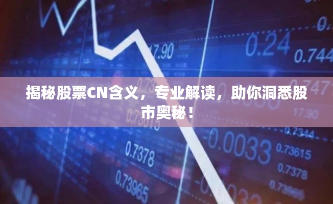 揭秘股票CN含義，專業(yè)解讀，助你洞悉股市奧秘！