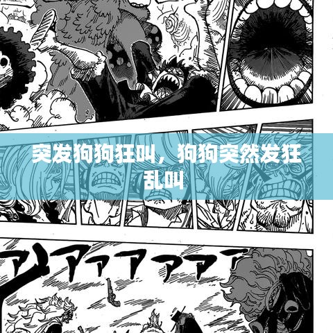 突發(fā)狗狗狂叫，狗狗突然發(fā)狂亂叫 