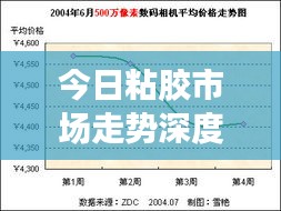 今日粘膠市場走勢深度解析，最新行情報告