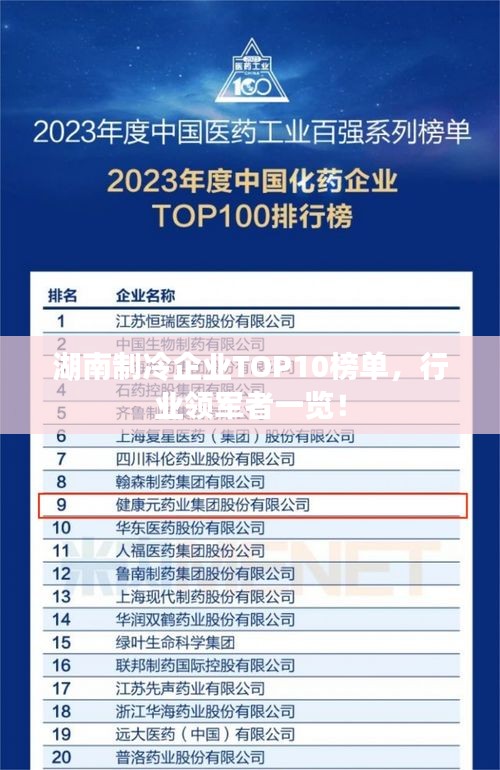 湖南制冷企業(yè)TOP10榜單，行業(yè)領(lǐng)軍者一覽！