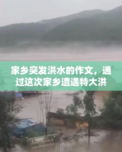 家鄉(xiāng)突發(fā)洪水的作文，通過這次家鄉(xiāng)遭遇特大洪水,大家有什么感想? 