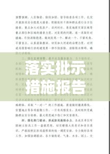落實批示措施報告，批示落實情況 