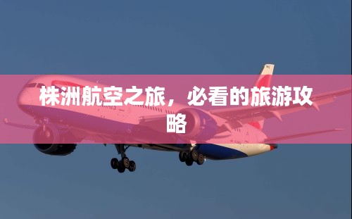 不求甚解 第2頁