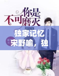 獨(dú)家記憶宋野喻，獨(dú)家記憶小說番外有學(xué)生暗戀 