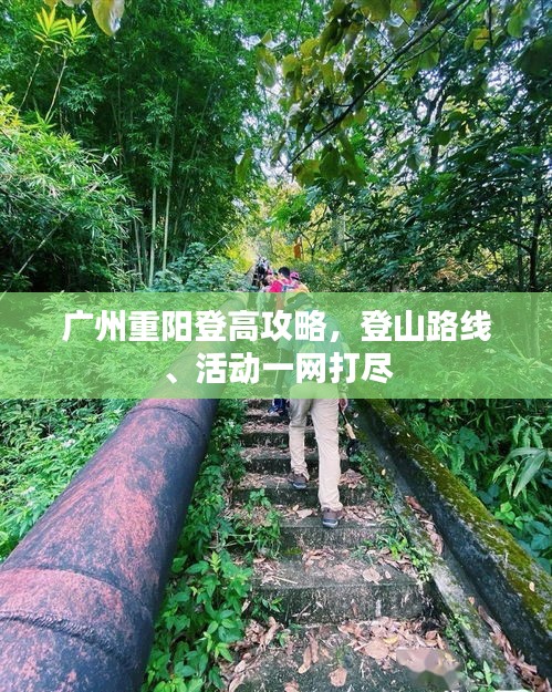廣州重陽(yáng)登高攻略，登山路線、活動(dòng)一網(wǎng)打盡